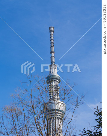 Skytree waiting for spring 99158018