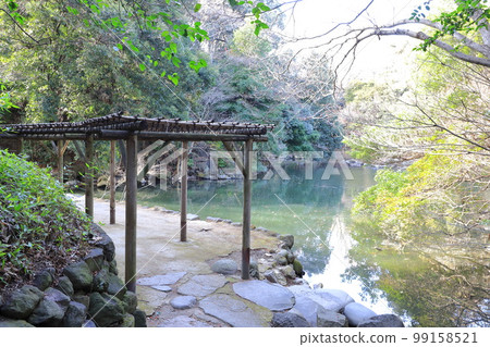 東京大學本鄉校區三四郎池 99158521