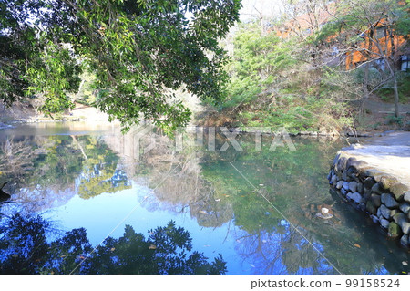 Sanshiro Pond on the University of Tokyo Hongo Campus 99158524