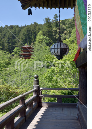 奈良縣櫻井市初瀨市從主殿眺望五層寶塔的新綠長谷寺 99158859
