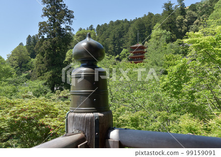 Hase-dera in fresh greenery, overlooking the five-storied pagoda from the stage of the main hall, Hatsuse, Sakurai City, Nara Prefecture Hase-dera in fresh greenery, overlooking the five-storied pagoda from the stage of the main hall, Hatsuse, Sakurai City, Nara Prefecture 99159091