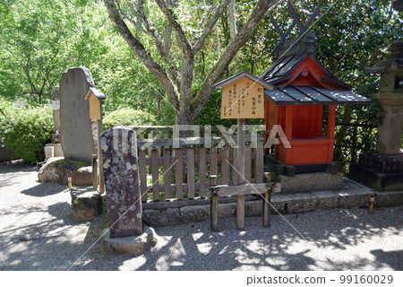 奈良縣櫻井市初瀨市木月故里梅花新綠中的長谷寺 奈良縣櫻井市初瀨市木月故里梅花新綠中的長谷寺 99160029