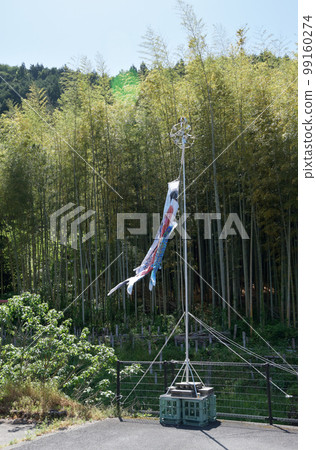 綠意盎然的長谷寺 奈良縣櫻井市初瀨寺町民宅庭園中的鯉魚旗 綠意盎然的長谷寺 奈良縣櫻井市初瀨寺町民宅庭園中的鯉魚旗 99160274