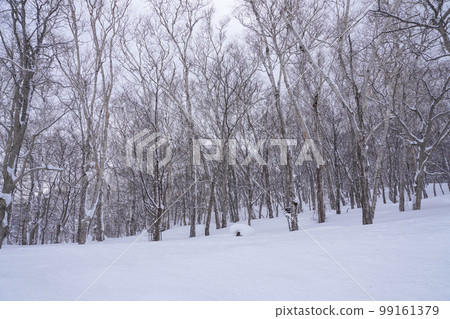 冬天的小樽天狗山山頂附近 冬天的小樽天狗山山頂附近 99161379