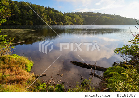 清晨的白駒池,長野縣 清晨的白駒池,長野縣 99161398