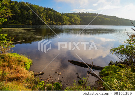 清晨的白駒池,長野縣 清晨的白駒池,長野縣 99161399