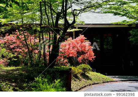 我們去了水戶市森林公園#39 我們去了水戶市森林公園#39 99162398