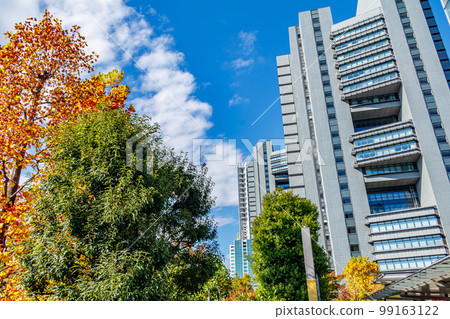[埼玉城市景觀]埼玉新都心的摩天大樓 99163122