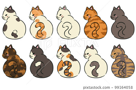 回頭看貓 99164058