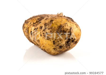 Dirty potato isolated on white background. 99164577