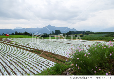 長野縣夏季南牧村野邊山站周邊的風景 99166283
