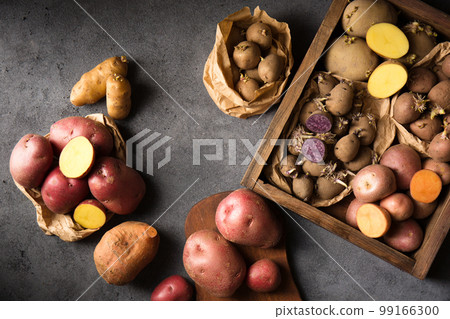 Various varieties of potatoes. Germination of sprouts on potatoes for planting in the ground, top view Various varieties of potatoes. Germination of sprouts on potatoes for planting in the ground, top view 99166300