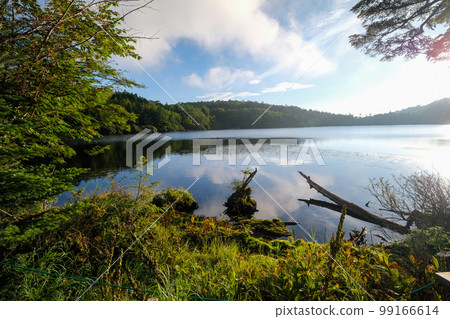 Shirakoma Pond in the morning, Sakuho Town, Nagano Prefecture Shirakoma Pond in the morning, Sakuho Town, Nagano Prefecture 99166614