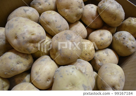 Potatoes 99167184
