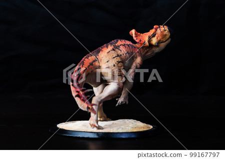 Protoceratops , dinosaur on black background Protoceratops , dinosaur on black background 99167797