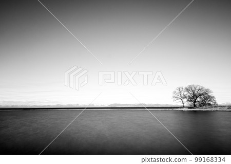 樹木保護狹窄的沙灘和延伸到湖邊的海角 99168334