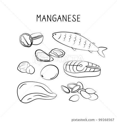 Manganese-containing food. Groups of healthy products containing vitamins and minerals. Set of fruits, vegetables, meats, fish and dairy. 99168567