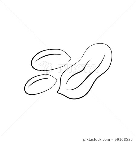 Peanuts in cartoon style. Nut icon for template label, packaging snackand emblem. Vector 99168583