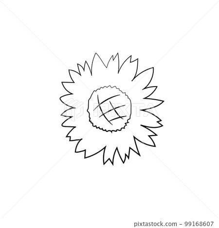 Sunflower icon isolated on white background, card template, for book, cover, banner. Hand painted flowers. Vector Sunflower icon isolated on white background, card template, for book, cover, banner. Hand painted flowers. Vector 99168607
