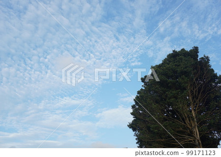 Sky and clouds 99171123