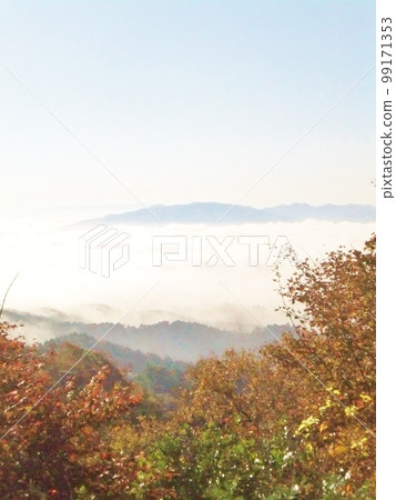 Mt. Hiei Autumn leaves and sea of clouds Mt. Hiei Autumn leaves and sea of clouds 99171353