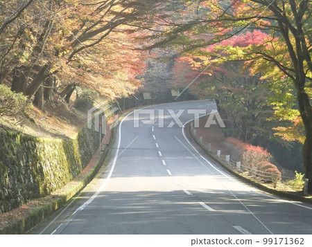 秋季Okuhiei車道 99171362
