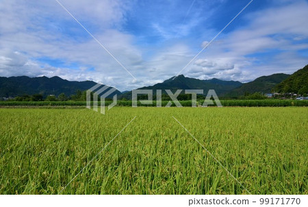 Ochi Town, Kochi Prefecture Mt. Yokokura of Heike legend and ripe yellow rice fields Ochi Town, Kochi Prefecture Mt. Yokokura of Heike legend and ripe yellow rice fields 99171770