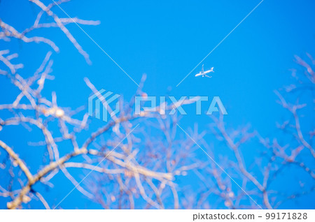 Winter grove and plane Haneda south wind route Winter grove and plane Haneda south wind route 99171828