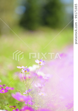 簡單的宇宙(上面的空白) 簡單的宇宙(上面的空白) 99171885