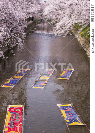 Nonbori wash and cherry blossoms, carp streamers and cherry blossoms, traditional crafts, Gojo River specialty, Aichi tourist spot, carp streamer removal Nonbori wash and cherry blossoms, carp streamers and cherry blossoms, traditional crafts, Gojo River specialty, Aichi tourist spot, carp streamer removal 99171917