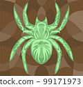 Vector art with colorful green spider silhouette 99171973
