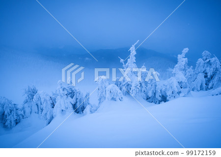 Fantastic winter landscape 99172159