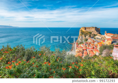 Awesome seaside and village Scilla with old medieval castle on rock Castello Ruffo, 99172293