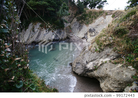 橫須賀市立荒崎公園“驢引” 99172443