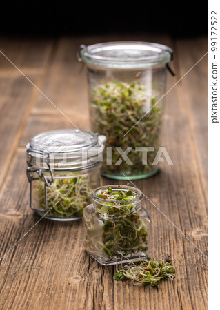 Mix of sprouted seeds Mix of sprouted seeds 99172522