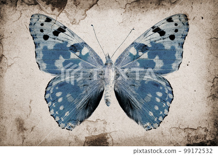 Grunge background Grunge background 99172532