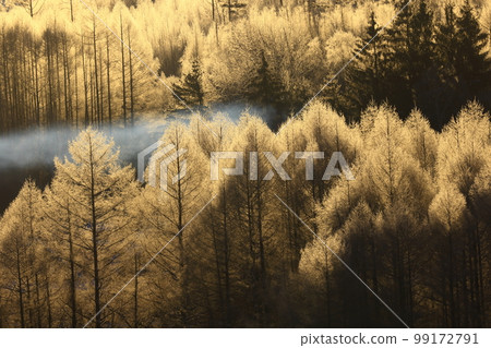 Morioka City, Iwate Prefecture Lake Iwado in winter 99172791