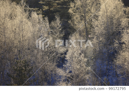 Morioka City, Iwate Prefecture Lake Iwado in winter 99172795
