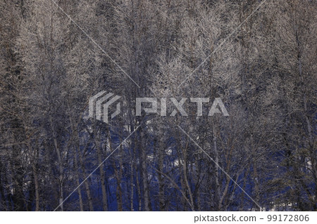 Morioka City, Iwate Prefecture Lake Iwado in winter 99172806
