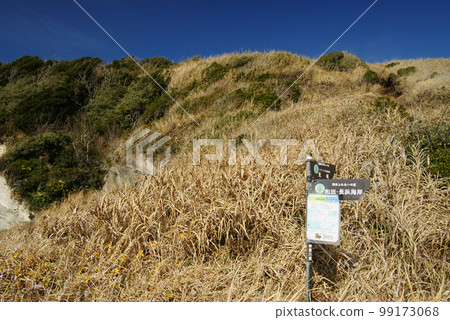 Miura Peninsula Arasaki/Shiosai no Michi display board Miura Peninsula Arasaki/Shiosai no Michi display board 99173068