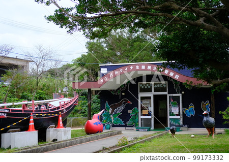 Yanbaru Kuina 生態展示和學習設施（沖繩縣國頭市）2 99173332