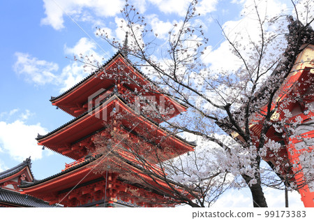 Ancient pavilion and blooming sakura branches in Fushimi Inari shrine. Spring time in Kyoto, Japan. Sakura blossom season Ancient pavilion and blooming sakura branches in Fushimi Inari shrine. Spring time in Kyoto, Japan. Sakura blossom season 99173383