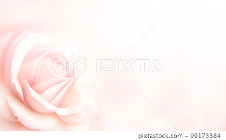 Horizontal banner with rose of pink color on blurred background. Copy space for text. Mock up template Horizontal banner with rose of pink color on blurred background. Copy space for text. Mock up template 99173384