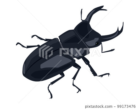 一隻巨大的雄鹿甲蟲的插圖 99173476