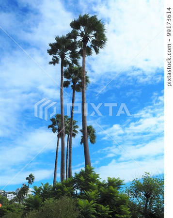 Scenery of Atami Sun Beach Scenery of Atami Sun Beach 99173614