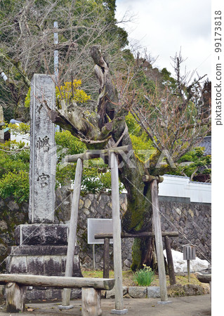 京丹後市四辻八幡宮 京丹後市四辻八幡宮 99173818
