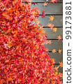 Background material and texture material of red autumn leaves (maple) on the wooden deck 99173881