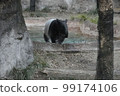 Malebak 99174106