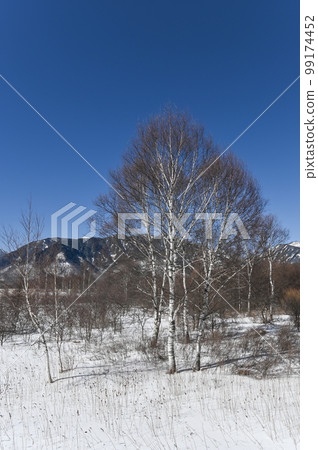 冬季栃木縣日光戰場之原 冬季栃木縣日光戰場之原 99174452