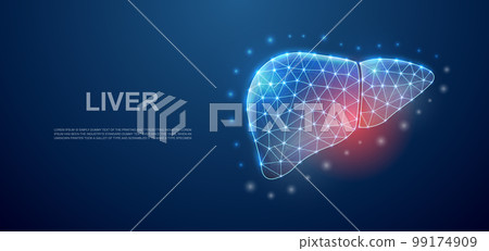 Liver 3d low poly symbol with pain center for landing page template. Liver pain design illustration concept. Polygonal organ illustration 99174909